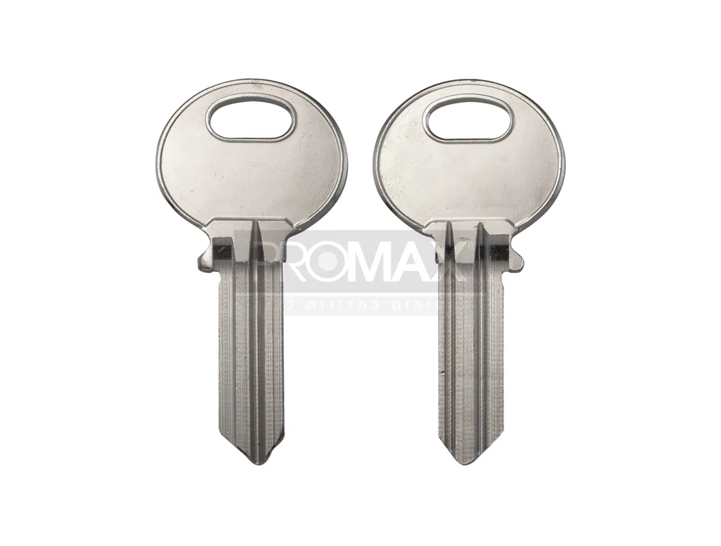 גלם תוצרת חוץ ASSA A22401