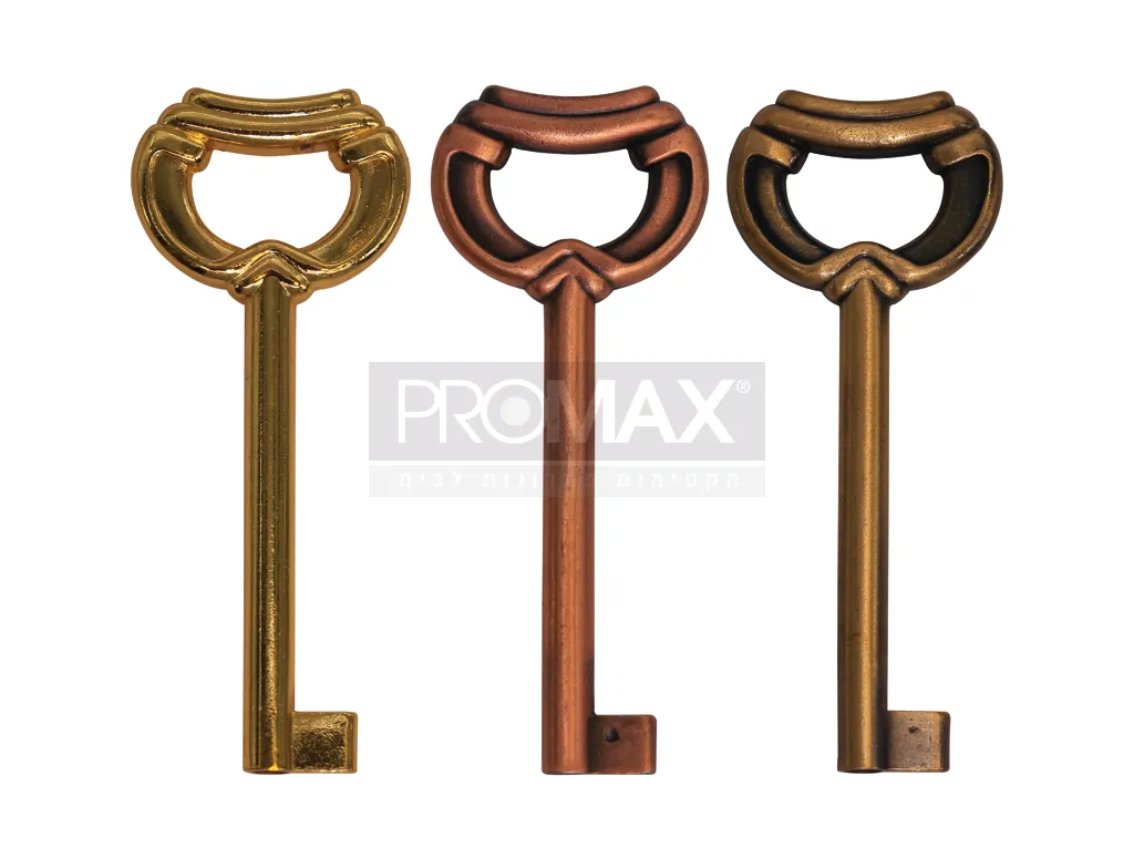 מפתח אפס דקורטיבי למנעול פלסטיק