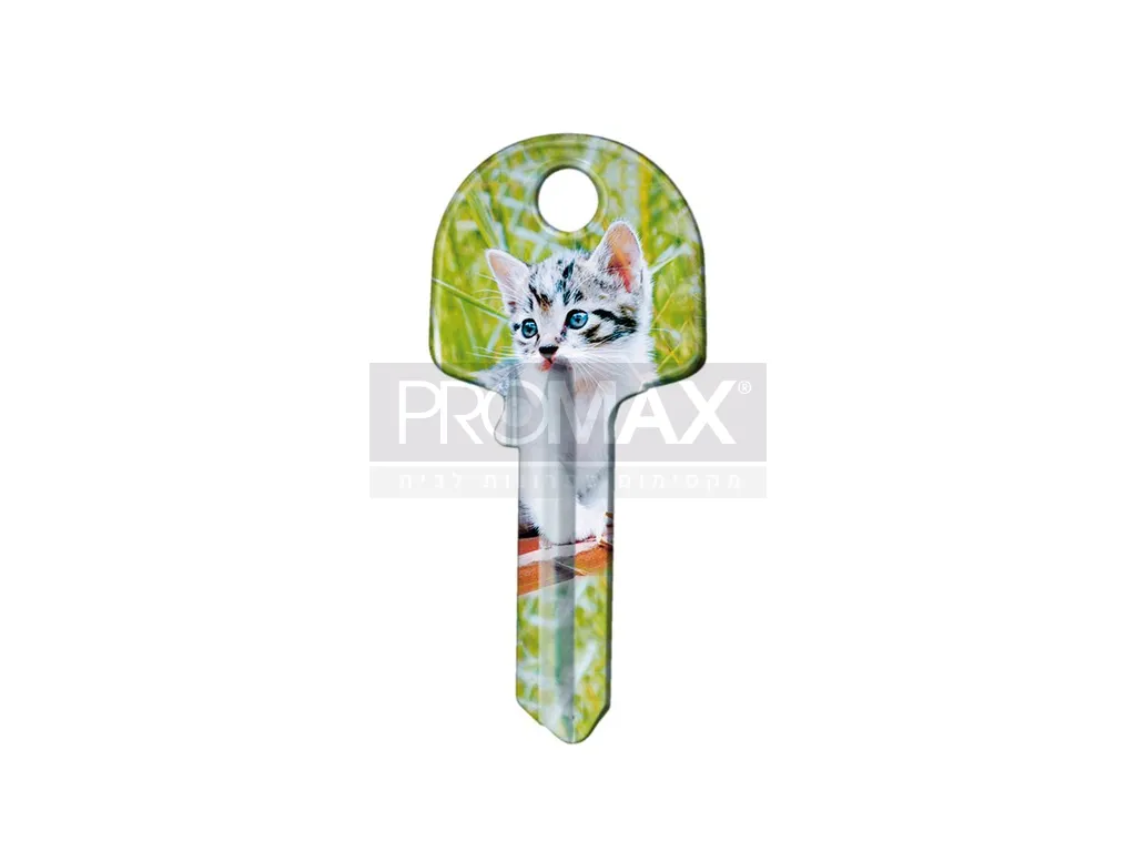 גלם אוניברסל ימין צבעוני חתול KL ת.איטליה