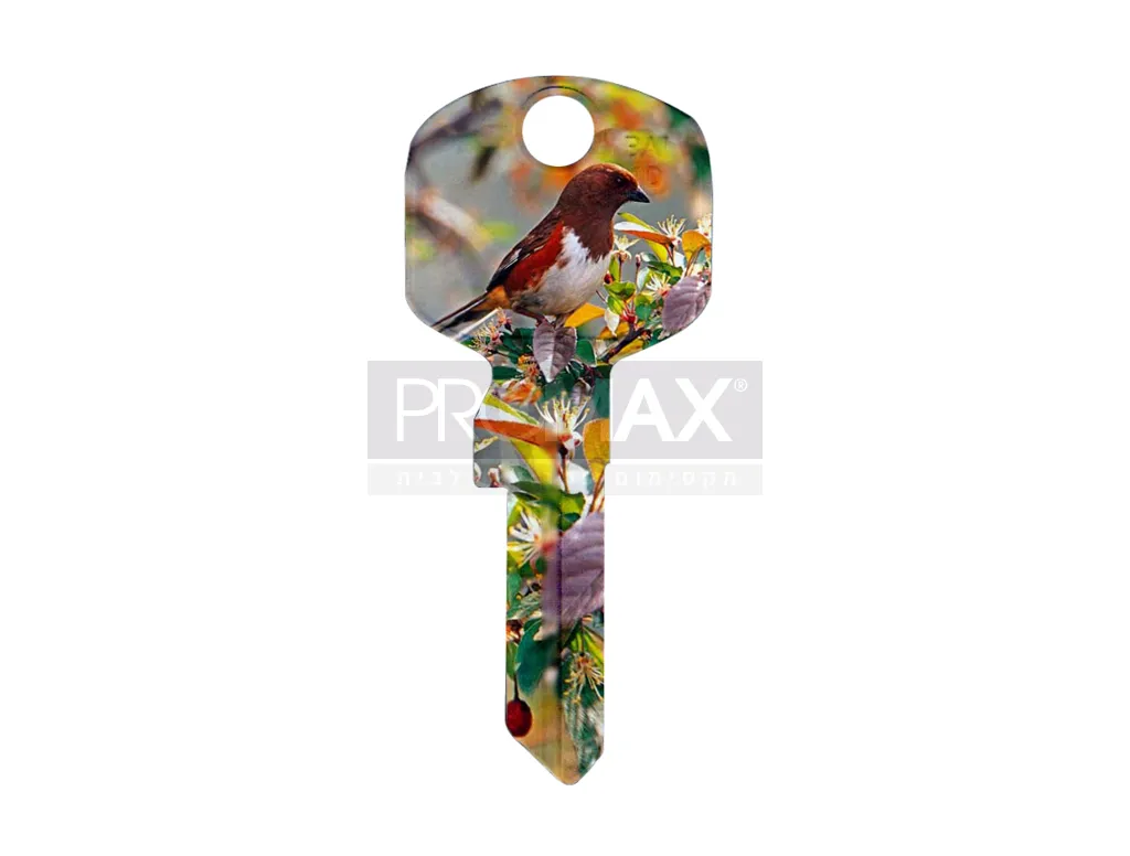 גלם אוניברסל ימין בהדפס ציפור תוצרת JMA