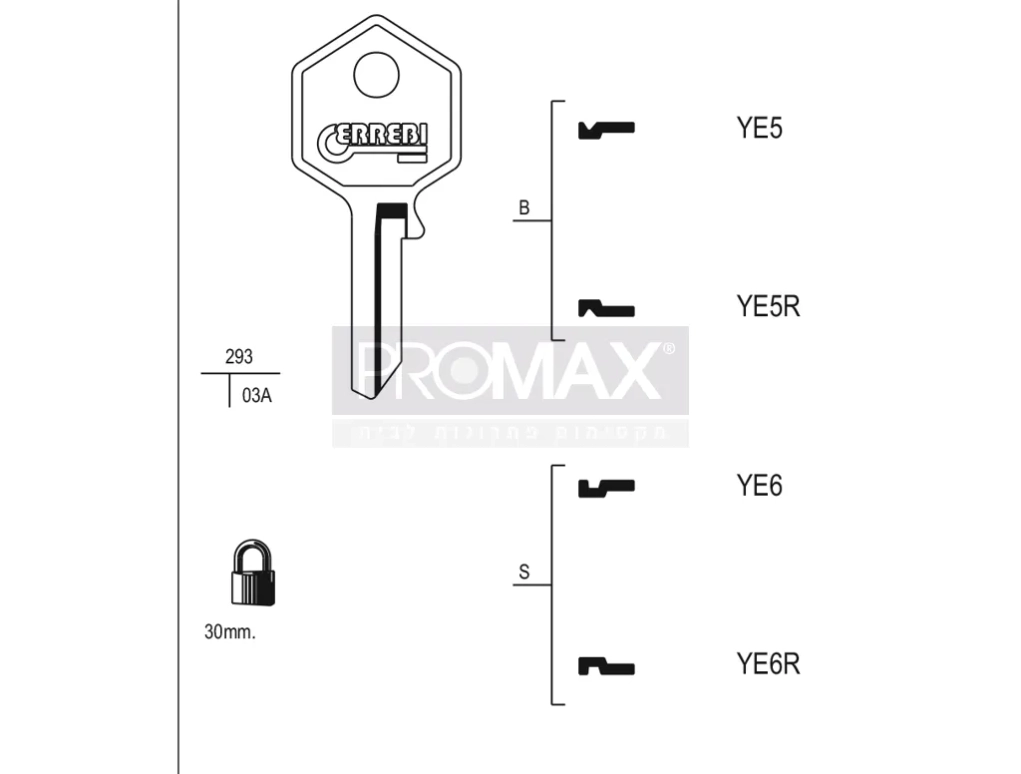 גלם תוצרת איטליה YE6 Errebi