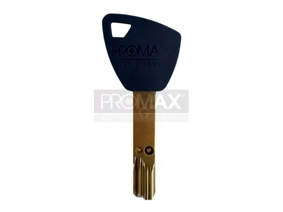 גלם אינטראקטיב אוניברסלי G