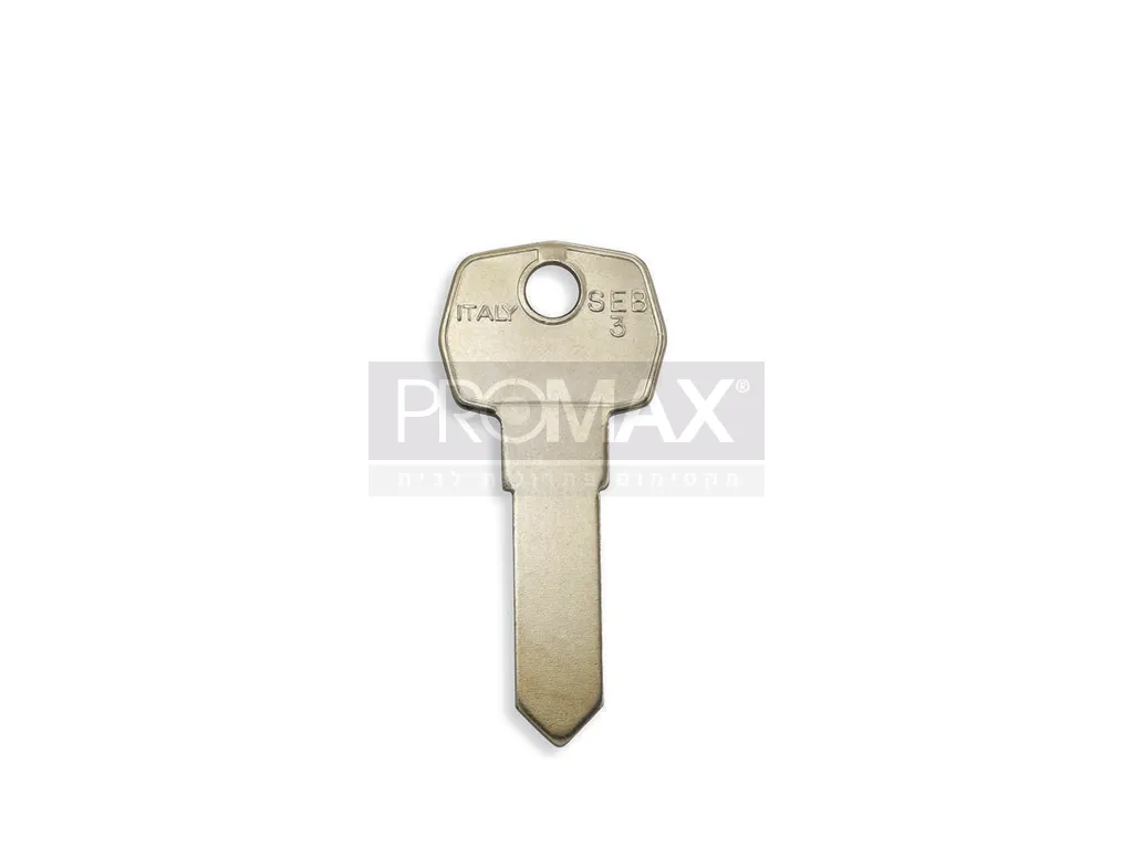 גלם חורים ותעלות SA13