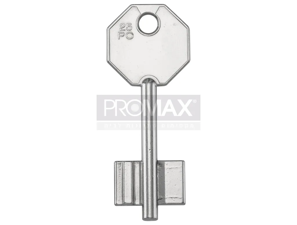 מפתח כספת פוטנט 2PO13