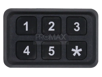 קודנית פויינטר כלב