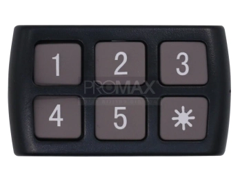 קודנית רנו/ניסן כוכבית