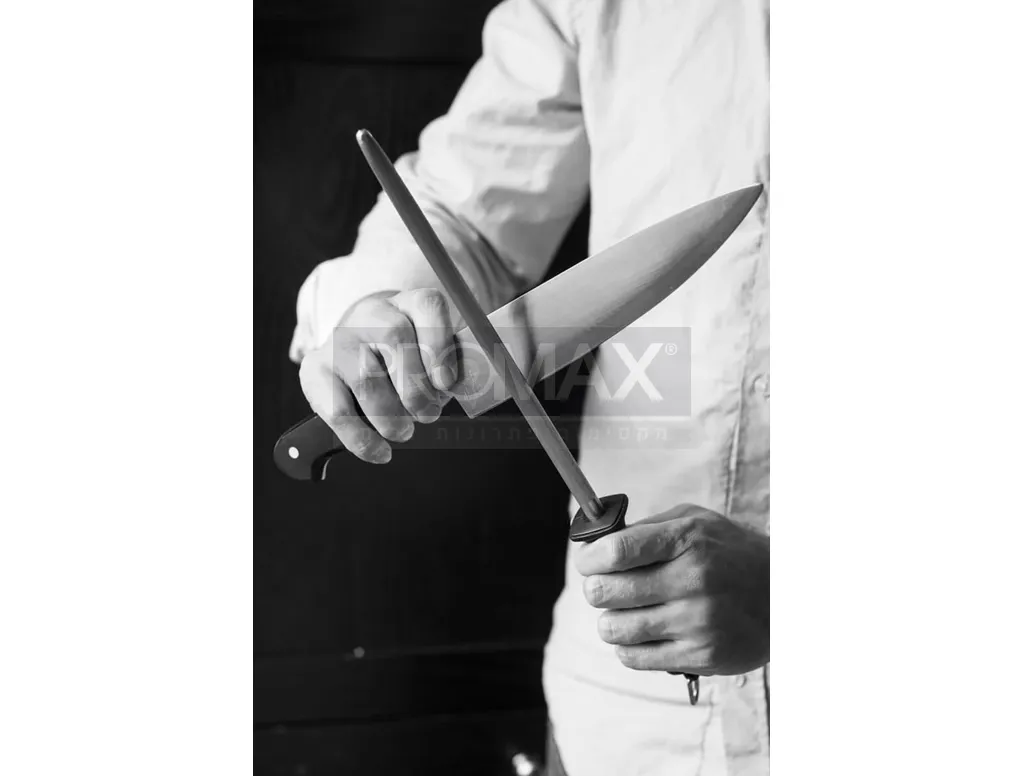 משחיז סכינים 10" מקצועי 5