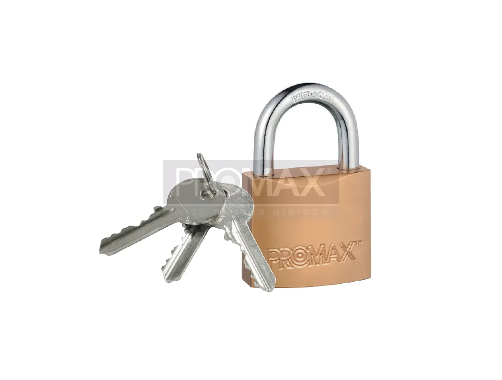 מנעול תליה 30-א