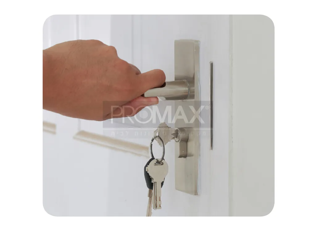 ידית אלום שלט טיבעי מפתח בבליסטר PROMAX