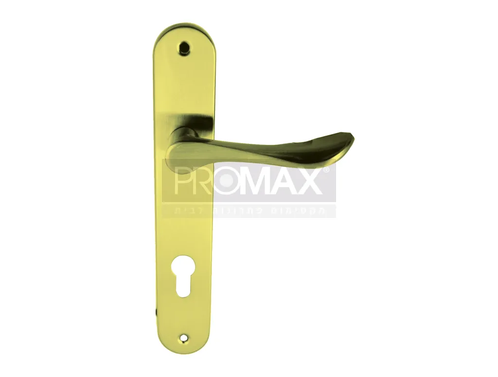 ידית שלט נועה זהב צילינדר בבליסטר PROMAX