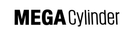 MEGA SMART LOCK