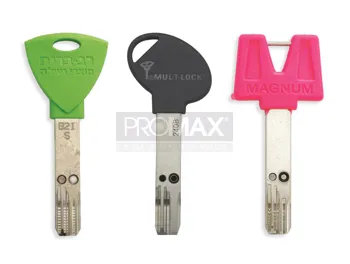 גלם אינטראקטיב אוניברסלי