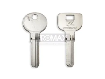 גלם חורים TESA