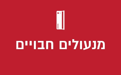 מנעולים חבויים