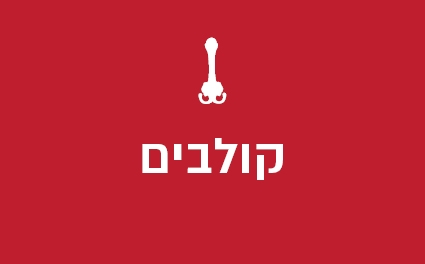 קולבים
